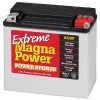 Magna Power Power Sport AGM Battery 310 CCA 2 Magna Power Power Sport AGM Battery 310 CCA -Farm & Ranch Sales img10633497
