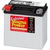 Magna Power Power Sport AGM Battery 220 CCA 2 Magna Power Power Sport AGM Battery 220 CCA -Farm & Ranch Sales img10633521